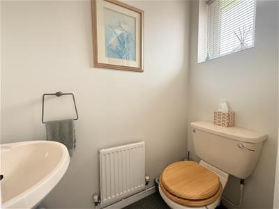 Picture 11